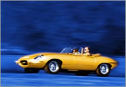 E-Type von Wolfgang Elster
