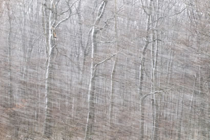 Schneetreiben: Ludwig Reisner