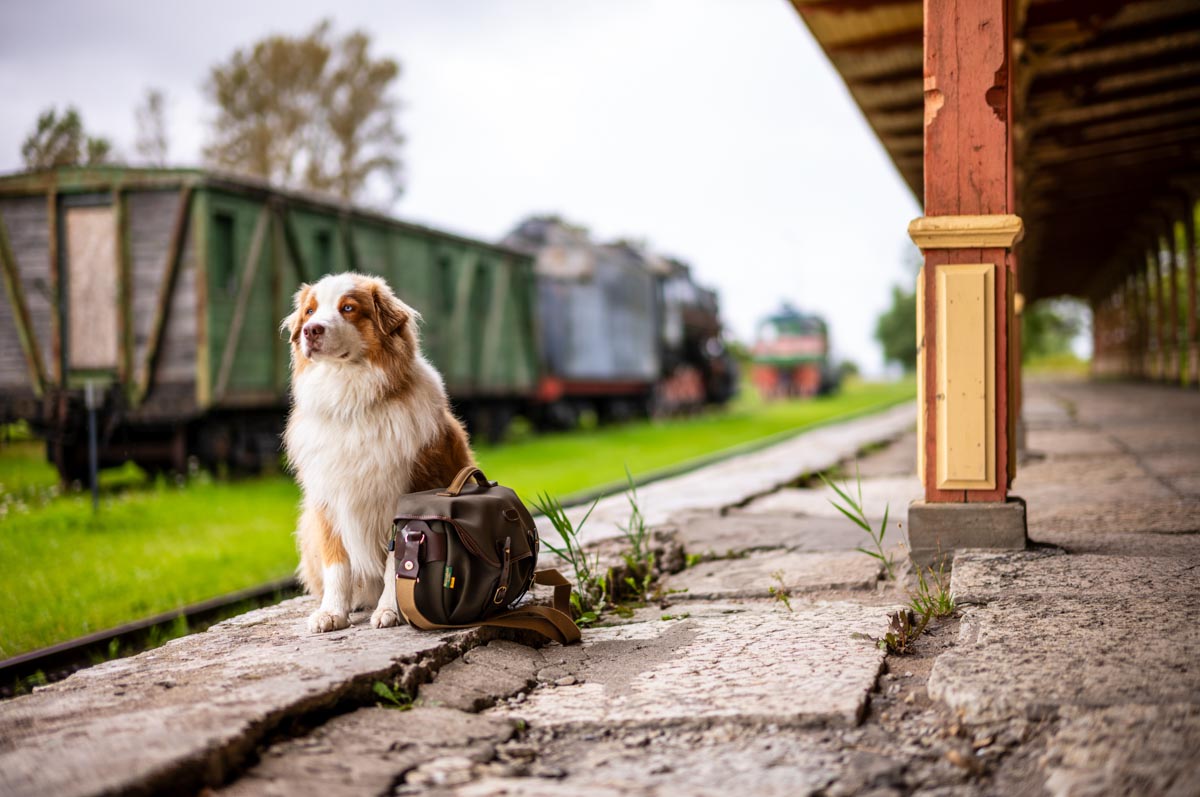 Warten auf den Zug © Petra Schmidt